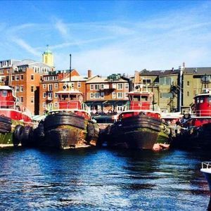 Meet your Posher, Todd